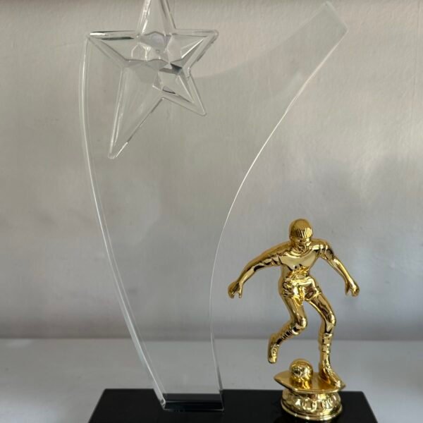 Premium Trophies
